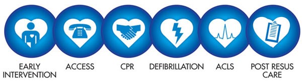 Chain of survival infographic for cardiac arrest