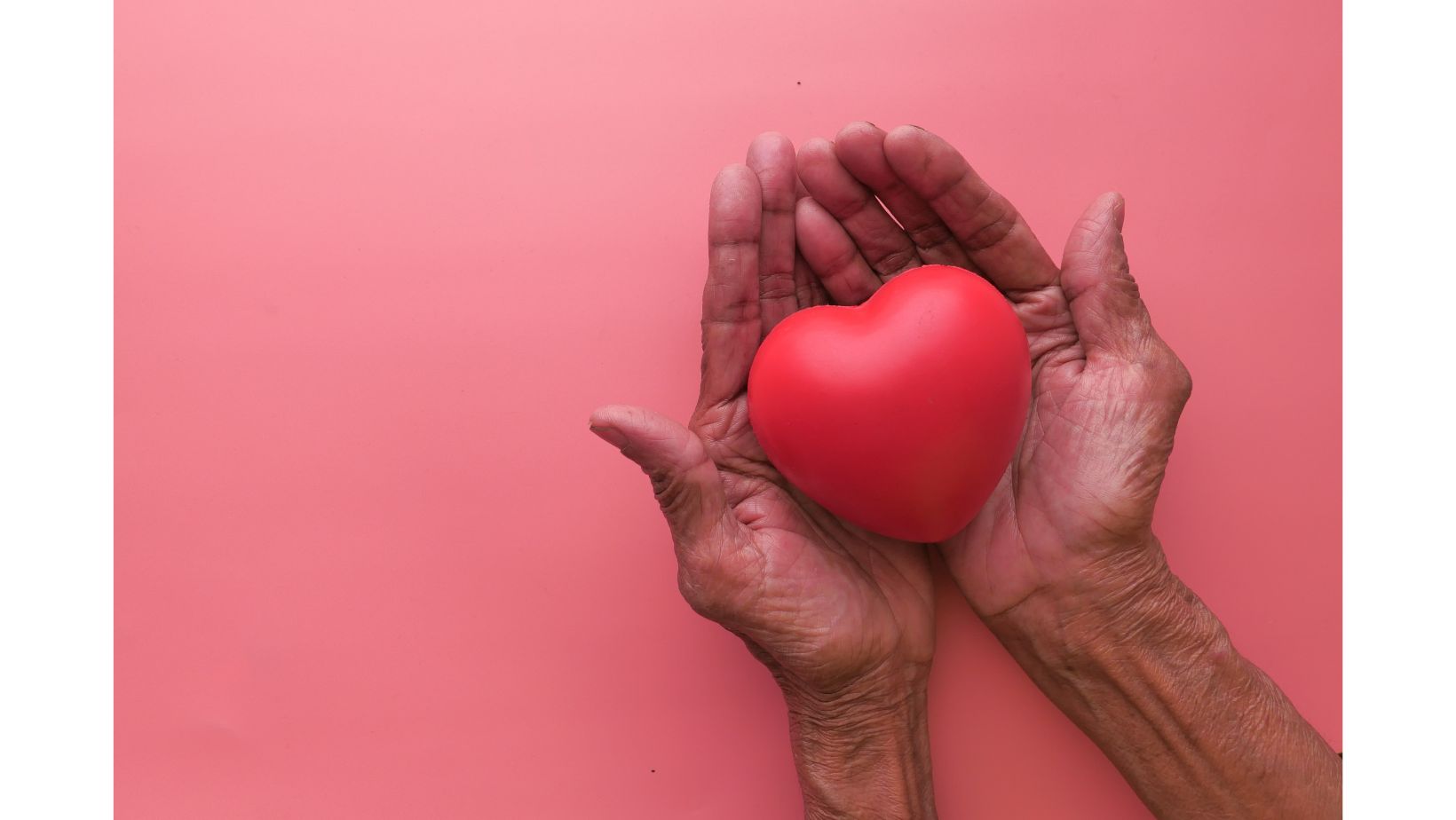 red heart being held by a person's hands cupped together