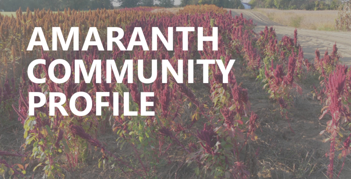 Economic Development, Community Services Dufferin County