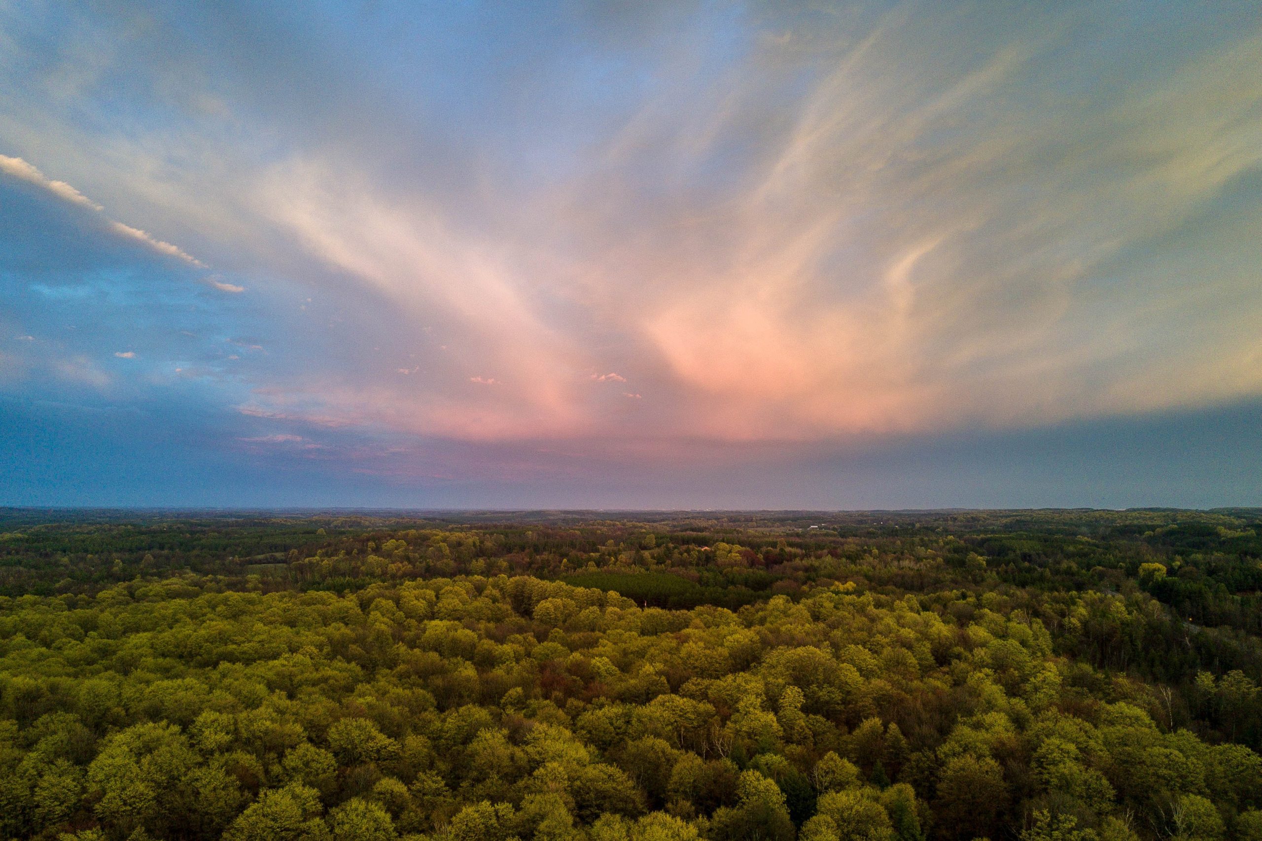 An orange sky over a forest in Dufferin County.