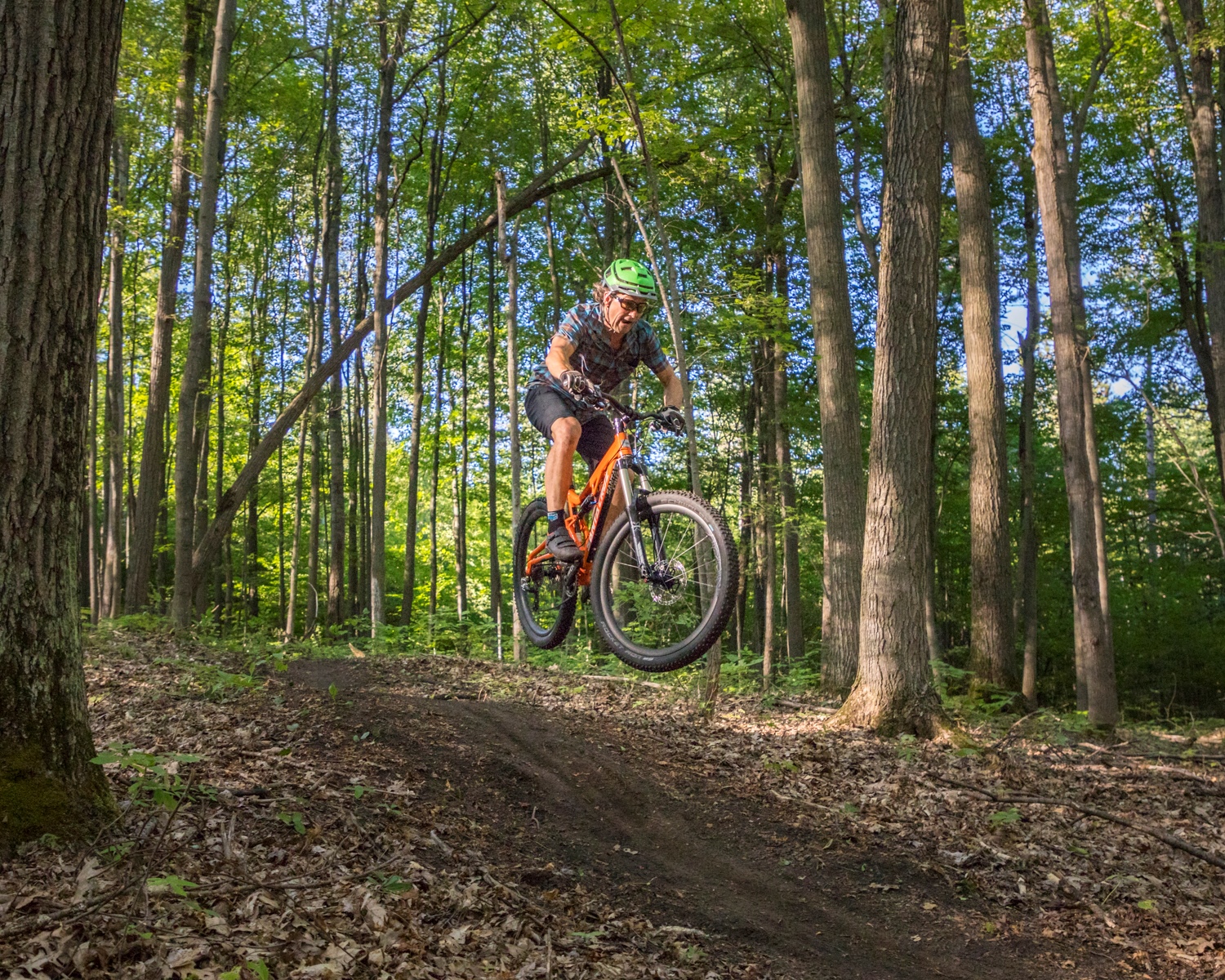 A mountain biker rides a trail in Dufferin County.