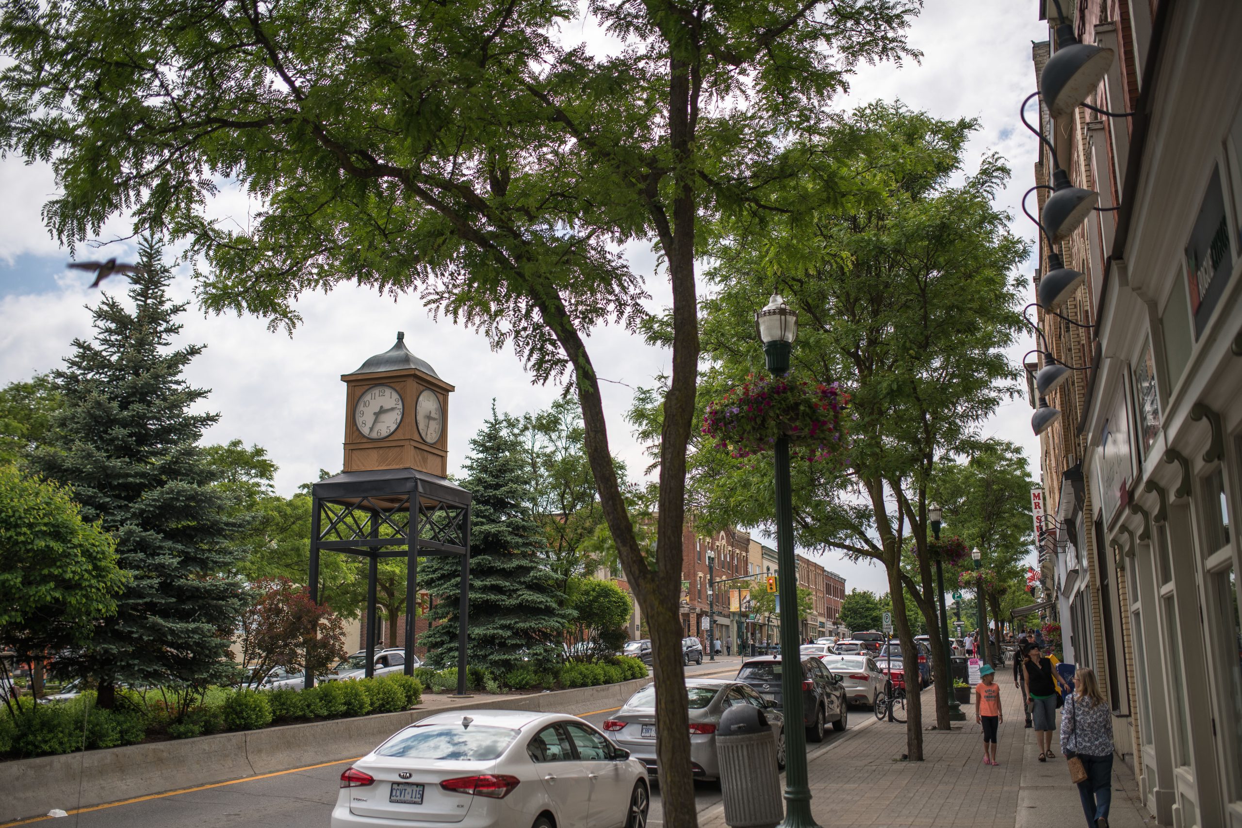 Image of downtown Orangeville with trees and cars.
