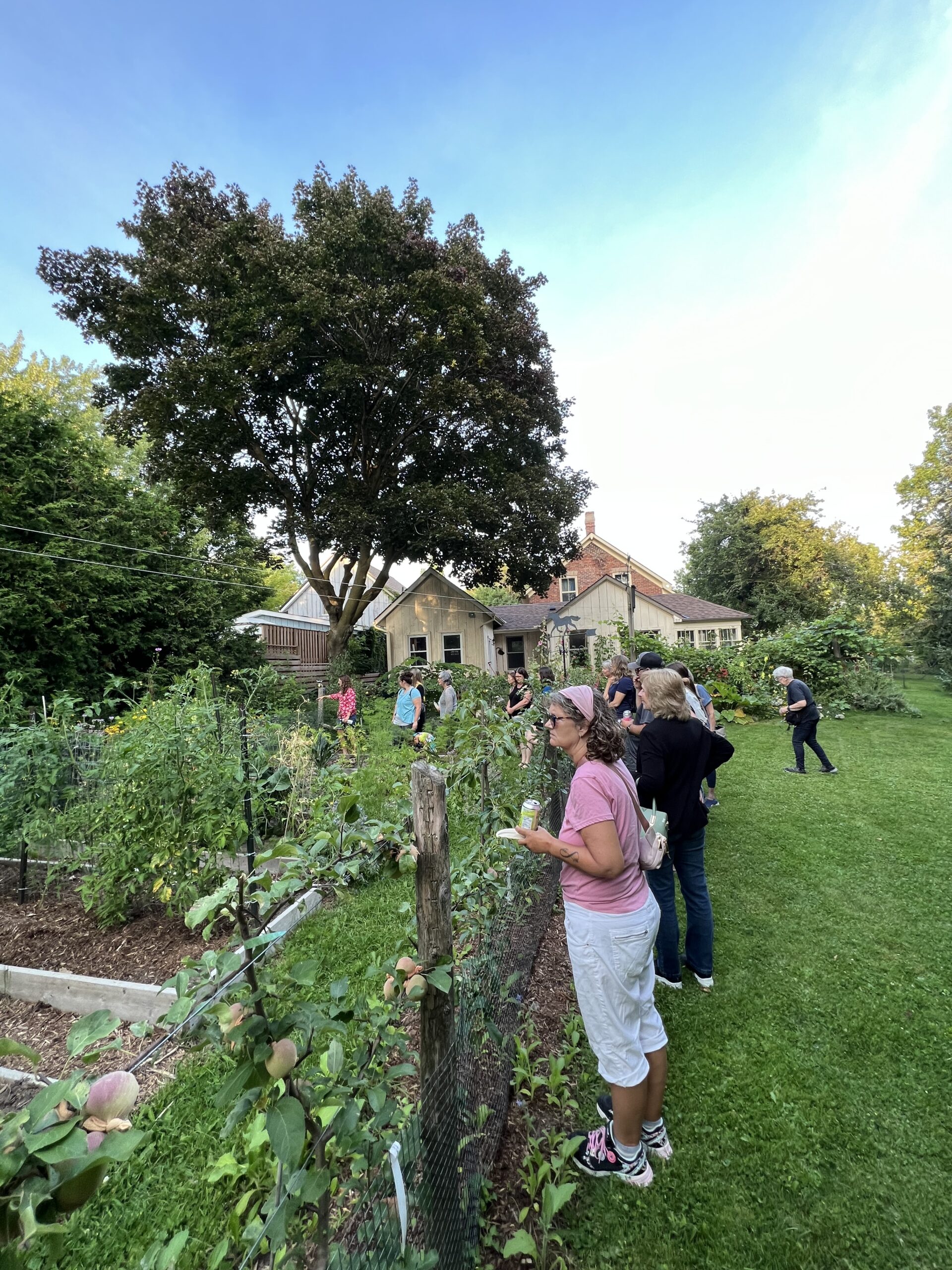 Group of workshop attendees explore a backyard filled with native plants