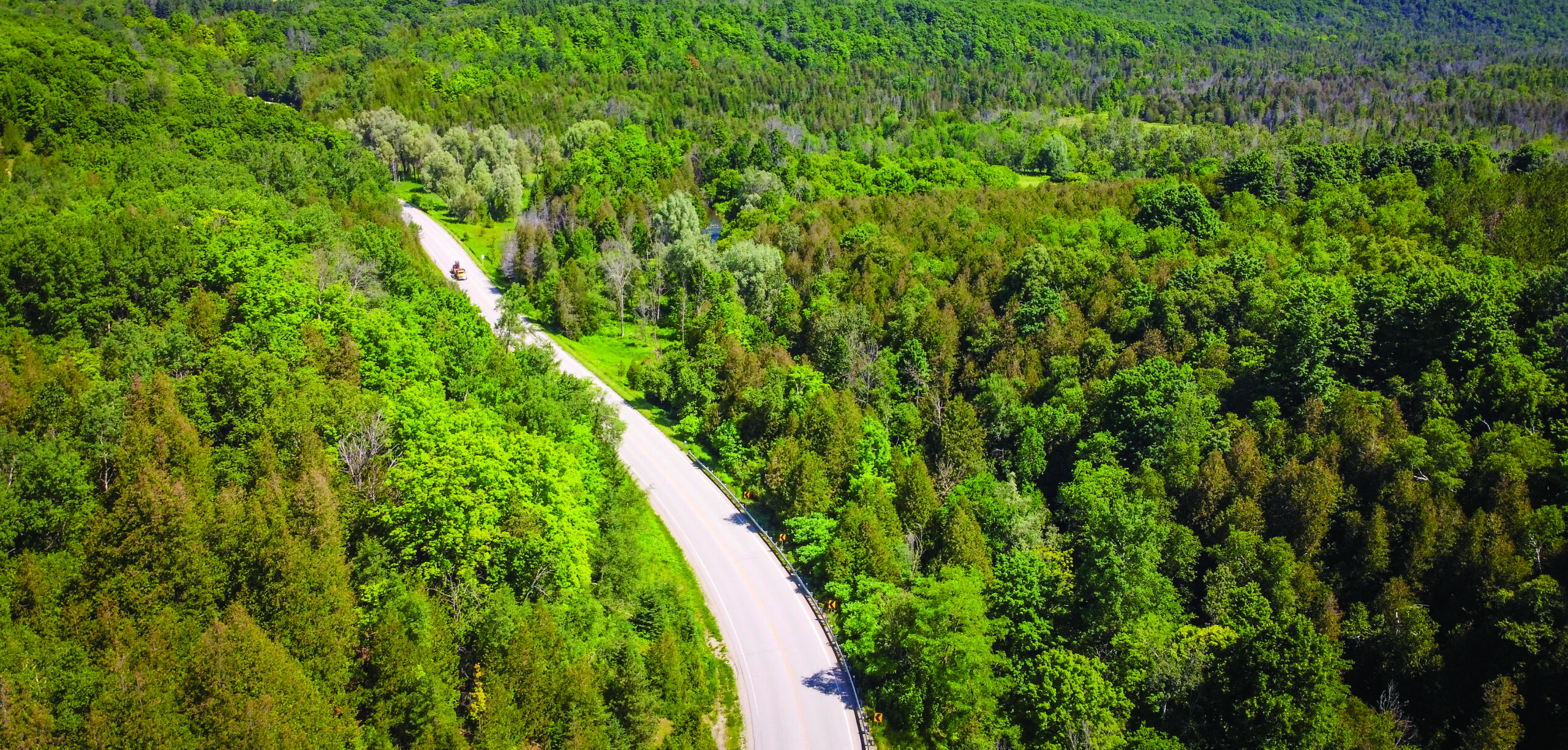 Winding rural road through forest.