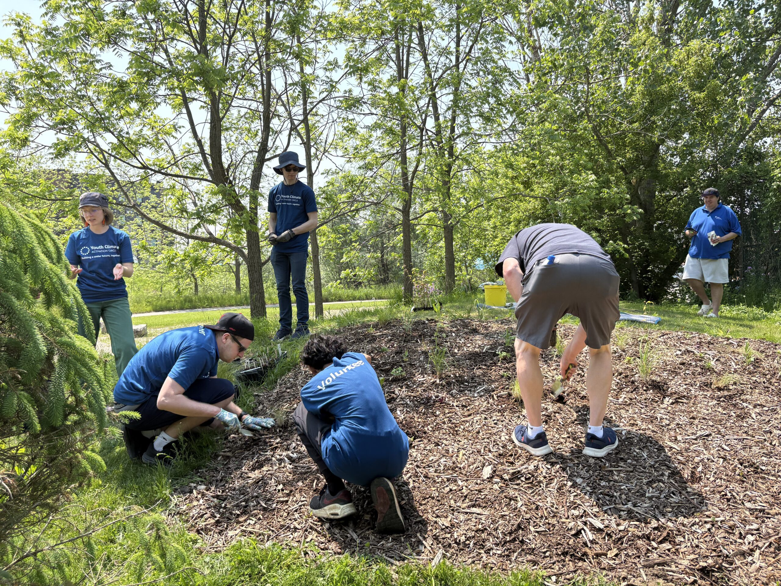 Youth Climate Ambassadors and staff from The Door Youth Centre plant native plant seedlings at community garden.